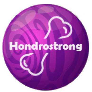 Hondrostrong - līdzeklis pret locītavu sāpēm