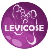 Levicose - gēls varikozu vēnu ārstēšanai